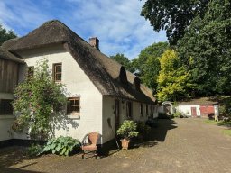IMG_0180